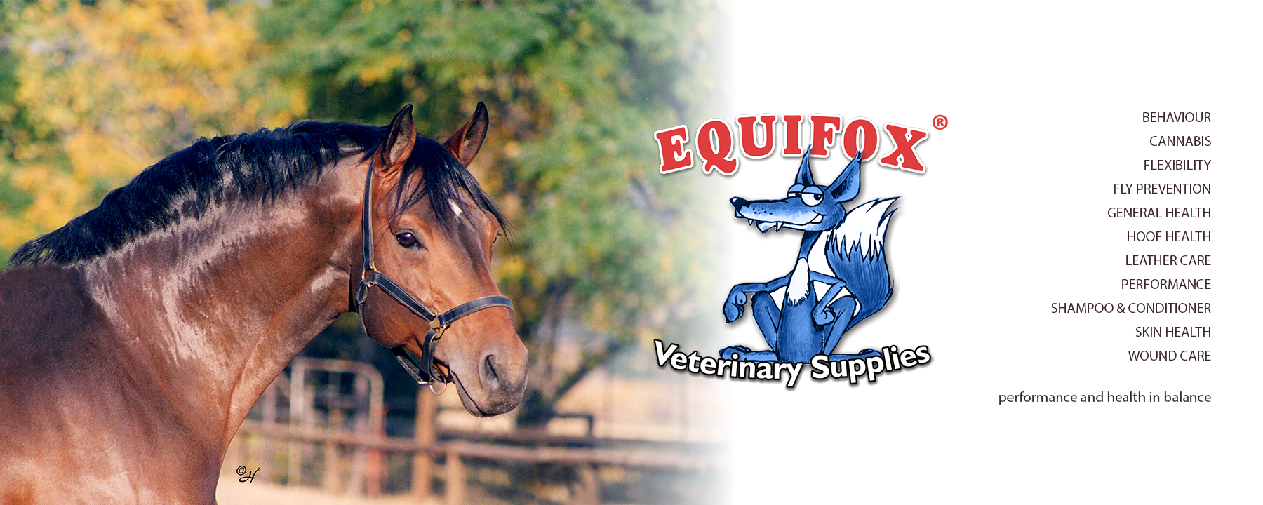 Equifox Veterinary Supplied Shopfront for BarnLife Online